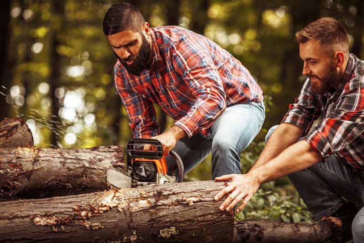 Best Battery Chainsaw, How Pick Up it With Expert Tips | Atbuz