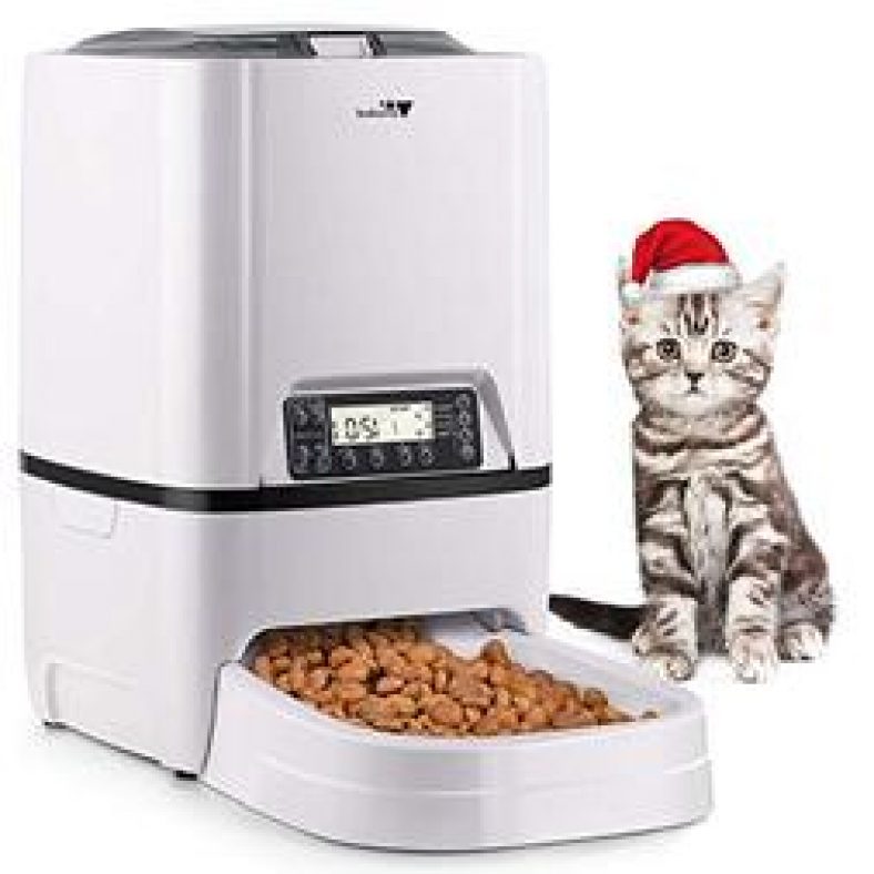 Benefit of Automatic Cat Feeders – Best Expert Guide | Atbuz