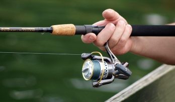 Best Spinning Reel for Saltwater and Freshwater Fishing | Atbuz