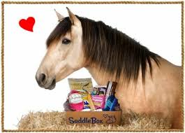 Horse Box Treats and Foods