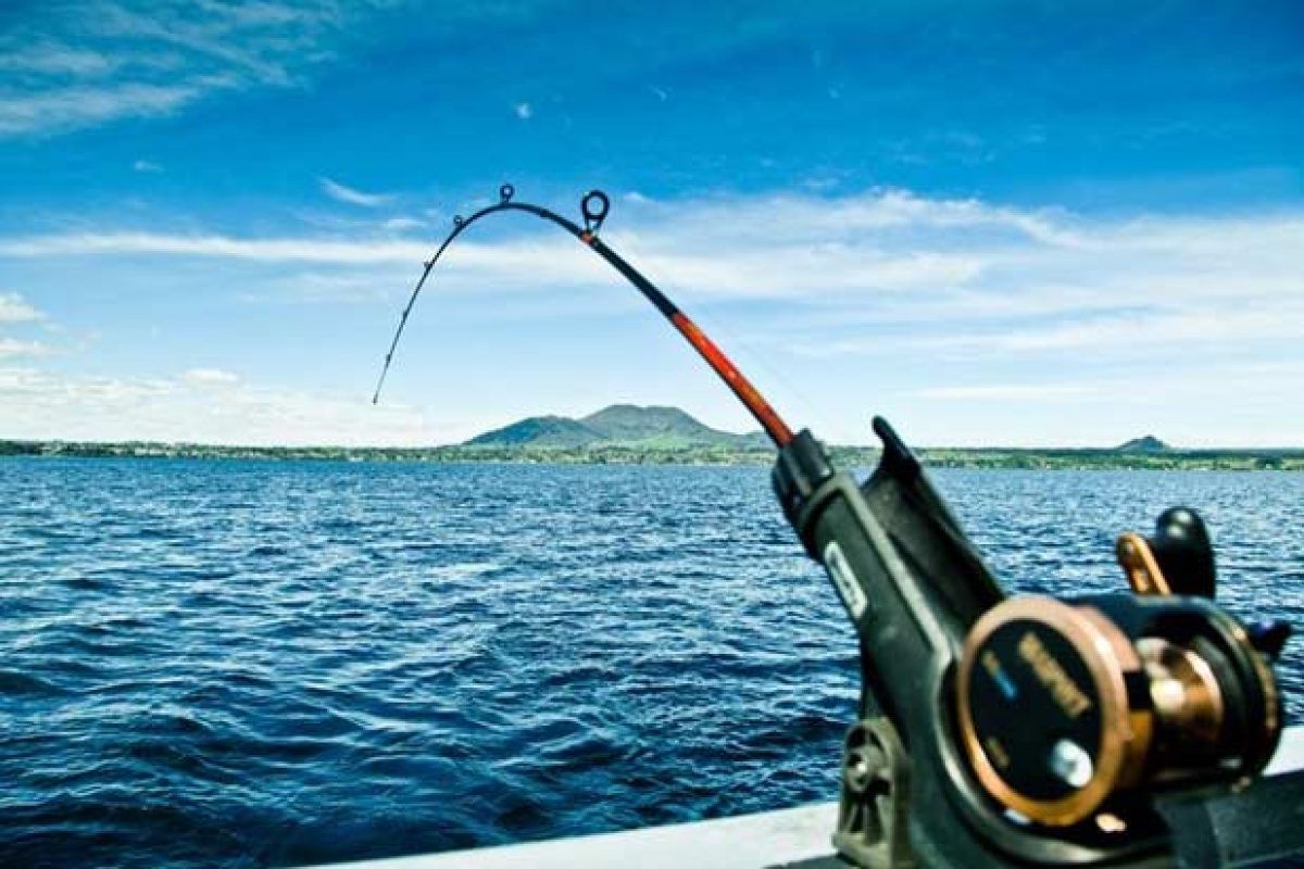 Offshore Fishing Trips, Thing Need To Know Best Trips Atbuz