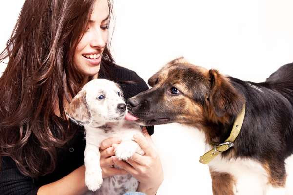 5 Ways To Care For The Health And Well-Being Of Your Pet: Best Care | Atbuz