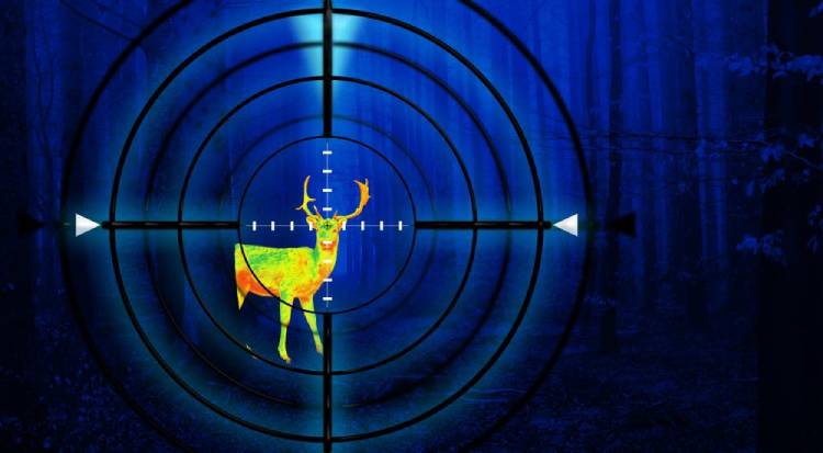 Themal imaging scope for deer hunting