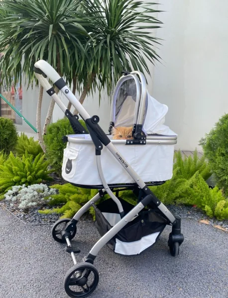 Comfort and Safety: The Cat Stroller Advantage