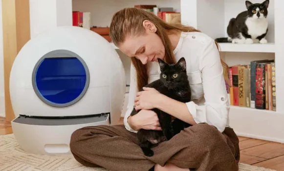 self cleaning litter box