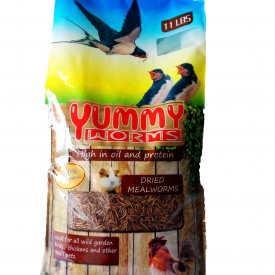 11LBS Dried Mealworms, Intact High Protein Treats for Bird & Chicken Bulk Dried Mealworms
