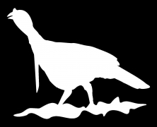 6″x5.75″ Turkey Car Truck Decal Sticker