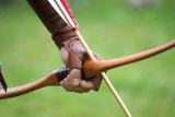 10 Best Tips for Buying Your First Hunting Bow