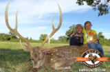 Hunting Tips on Axis Deer