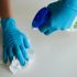 All About Veterinary Innovation Podcast