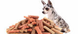 Top 4 Homemade Recipes for Great Dog Treats