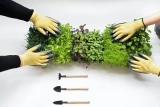 The Easiest Plants to Grow Free Food in Your Garden