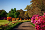 How to Begin Growing Your Own Produce This Spring
