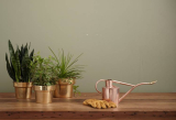 Exciting Hobbies You Can Learn To Do Online