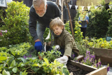 How Gardening Improves Mental Health
