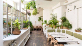 How to Succeed with Indoor Plants the Easy Way