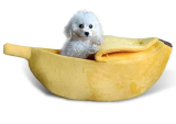 How to Choosing the Best Cat Bed For Your Pet