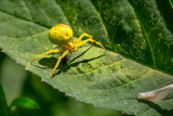 3 Signs of a Pest Infestation