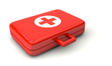 Pet First Aid: What You Need to Know