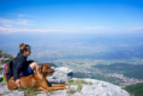 Minimalist Pet Travel: Essential Accessories for a Light and Easy Journey