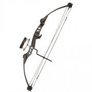 SAS SIEGE 55 LB 29″ COMPOUND BOWFISHING BOW PACKAGE