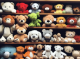 Stuffed animal, everything you have to know