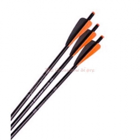 Wicked Ridge 20″ Black Aluminum Arrows W/ Vanes