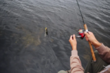 What is a fishing charter?