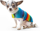 Wholesale dog clothes business online
