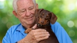 Caring for a senior dog