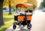 Explore the Best Pet Stroller for Cats and Kittens