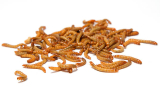 Superworms vs Mealworms – What’s the Difference?