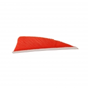 SAS 2-1/4-in Shield LW Feathers Solid Colors Arrow Fletching – 1DZ – Made in USA