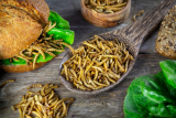 What are mealworms?